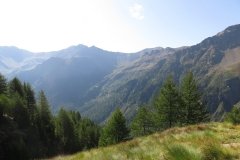IMG_0072