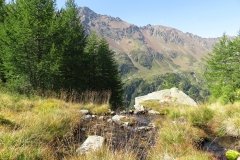 IMG_0076