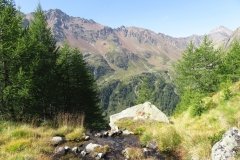 IMG_0078