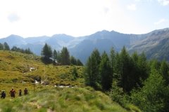 IMG_0081