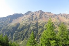 IMG_0083