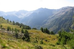 IMG_0086