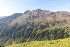 IMG_0094