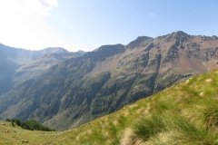 IMG_0101