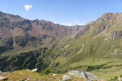IMG_0104