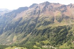 IMG_0119