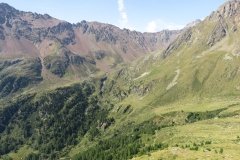IMG_0120