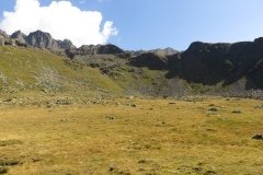 IMG_0133