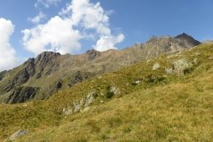 IMG_0168