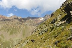 IMG_0196