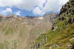 IMG_0201