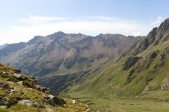 IMG_0203