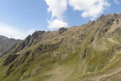 IMG_0207