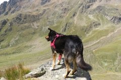 IMG_0211