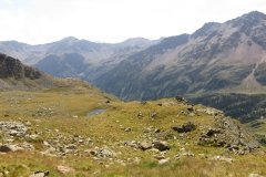 IMG_0232
