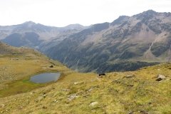 IMG_0236
