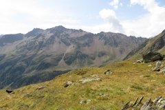 IMG_0237