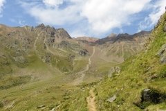 IMG_0246