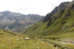 IMG_0258