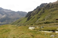 IMG_0267