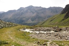 IMG_0269
