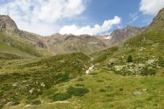 IMG_0273