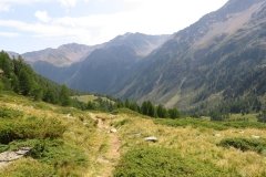 IMG_0279
