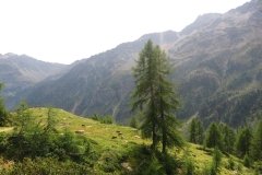 IMG_0288