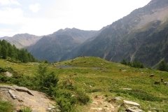IMG_0292