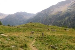 IMG_0294