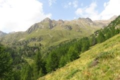 IMG_0300