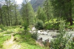 IMG_0309