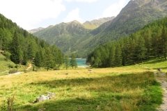 IMG_0340