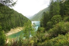 IMG_0346