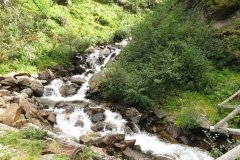 IMG_0360