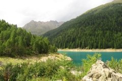 IMG_0362