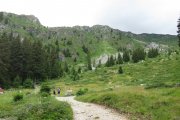 IMG_0010