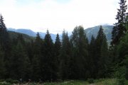 IMG_0012