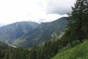 IMG_0015