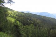 IMG_0018