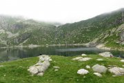 IMG_0050