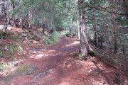 IMG_0002