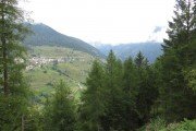 IMG_0008