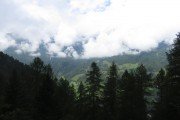 IMG_0010