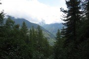 IMG_0013