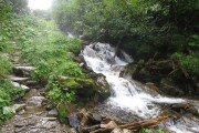 IMG_0014