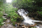 IMG_0016