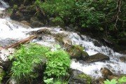 IMG_0018