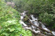 IMG_0021