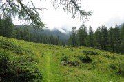 IMG_0022